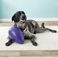 thumbnail image 3 of Juguete Jolly Pets Jolly Egg Morado Grande para Perro, 3 of 8