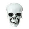 MIARHB hot lego for adults Halloween Skeletons, Plastic Realistic Fake Simulation Human Skull Head