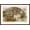 Brown Frame, variant on Art.com Boston Tea Party Stretched Canvas Print Wall Art, 36" x 24"