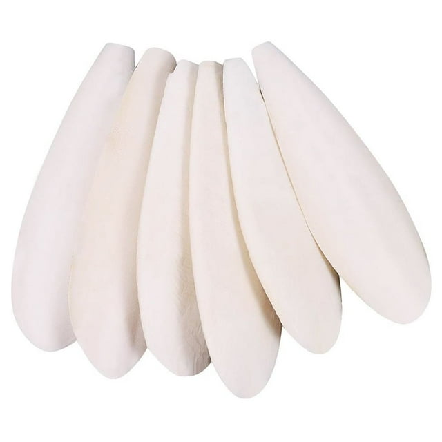 Parrot Calcium Supplements Chewing Cuttlefish Bone Pet Bird Cage Food Decoration