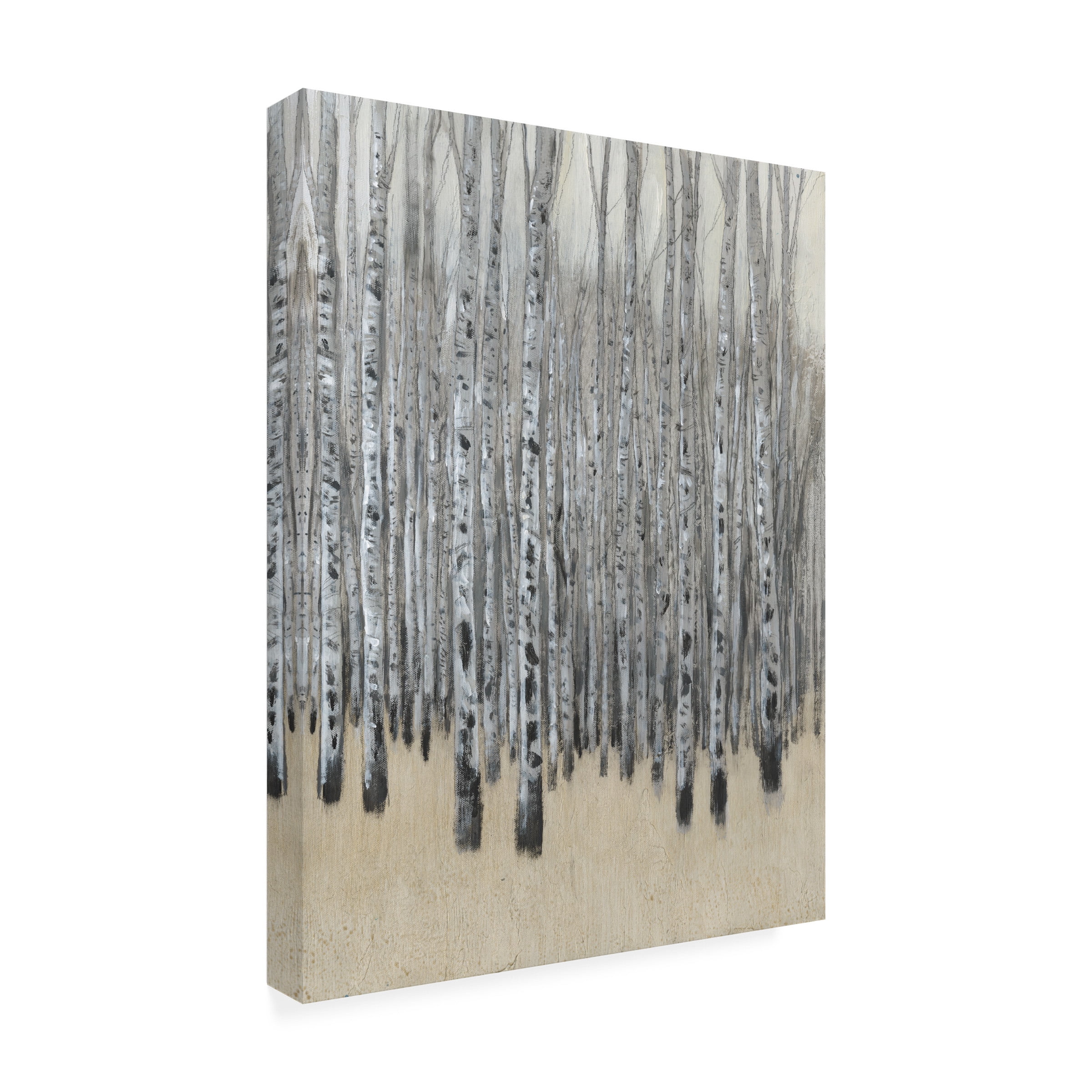 Tim OToole 'Neutral Aspen I' Canvas Art