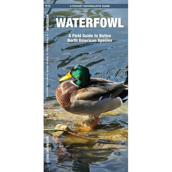 Nature Observation North America Waterfowl, 2nd Ed, (Paperback)