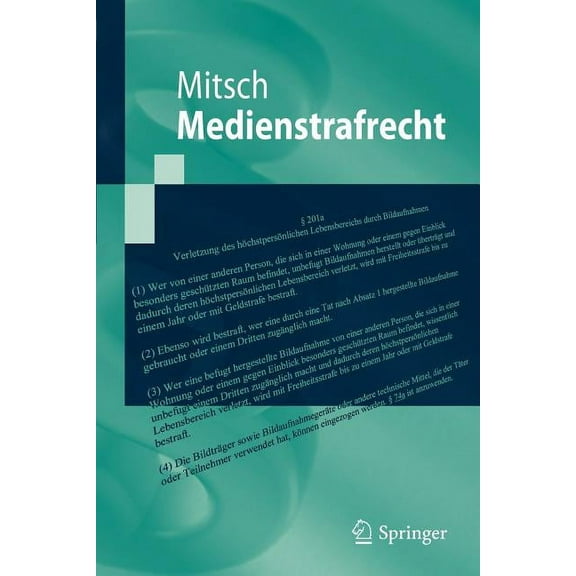 Springer-Lehrbuch Medienstrafrecht, (Paperback)