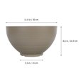thumbnail image 2 of UPGRATOR 1Ud Maceta De Resina Con Simple Para Plantas Y Suculentas En Casa, 2 of 6