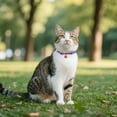 thumbnail image 4 of Collier d'Halloween avec Breloques Mignonnes Réglable Chat & Collier pour Festif, 4 of 6