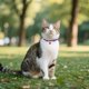 thumbnail image 4 of Collar de Halloween con bonitos colgantes. Gato y collar ajustables para fiestas., 4 of 6