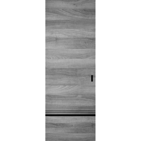 Hidden Barn | Planum 0012 Ginger Ash | Sturdy Finished Doors | Magic Concealed Sliding Set 18" x 80"