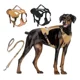 thumbnail image 1 of Pechera Arnés Táctico Con Correa Para Perro Mediano Y Grande, 1 of 8