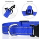 thumbnail image 3 of Collar de perro TagMe de nailon reflectante ajustable para perros medianos, 3 of 7