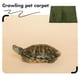 thumbnail image 3 of FUTUREORYY Alfombra Para Terrario Reptiles Con Lavable Y Accesorio Decorativo, 3 of 5