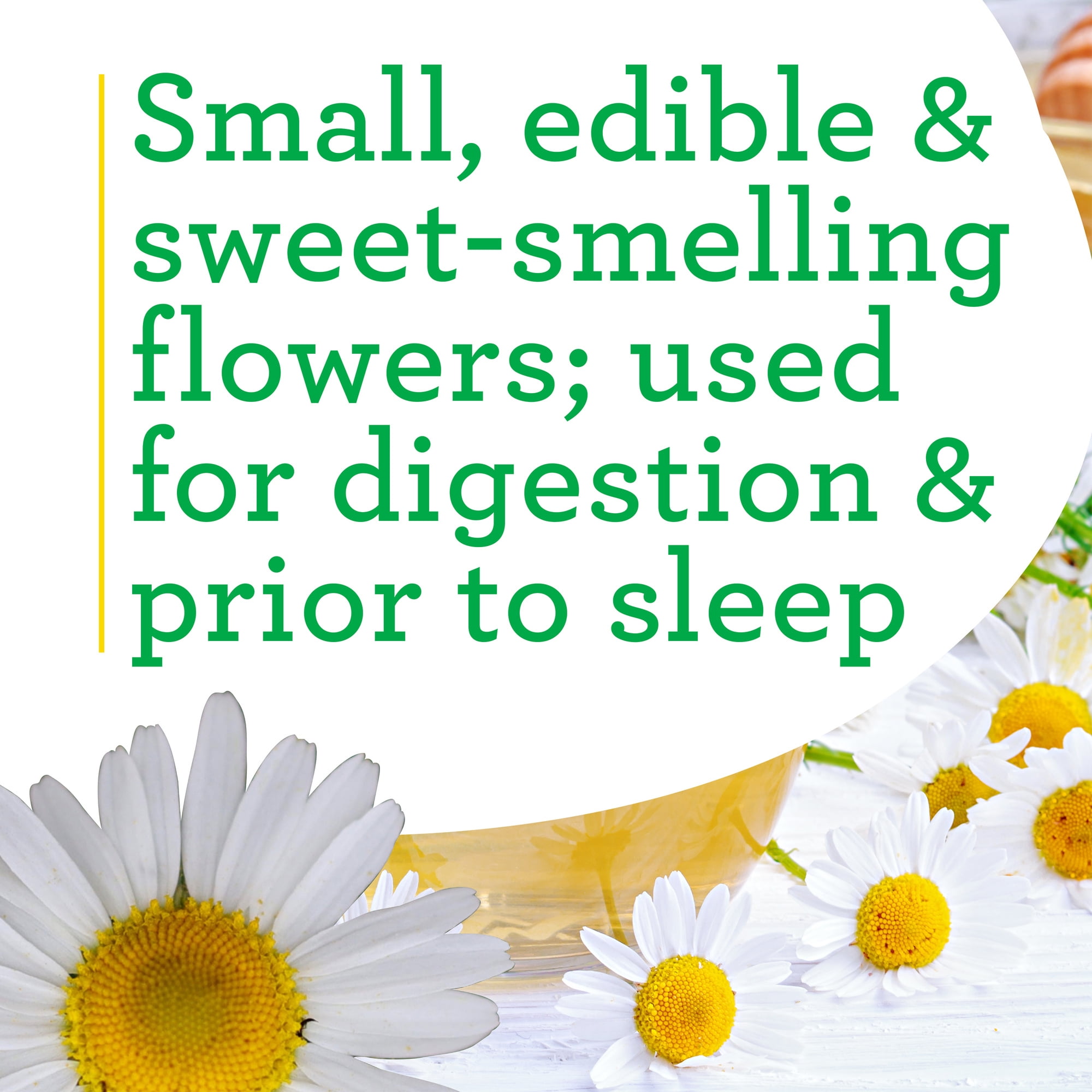 Bonnie Plants Chamomile 19.3 oz. 2-Pack