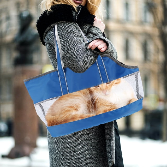 WEUVEB Sac de Transport pour Chat en Nylon Portable avec Design Respirant pour la Randonnée et la Marche