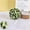 R, variant on Ceiling Decoration with Hanging Flowers, Green Plants and Botanical Niches,Flower Suspended Ceiling Home Decoration Hanging Green Plant Opening