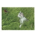 thumbnail image 1 of Nature Cutting Board, Cat Watching a Butterfly on Grass Field Garden Inspirational Picture, Decorative Tempered Glass Cutting and Serving Board, Large Size, Fern Green White Grey, by Ambesonne, 1 of 1