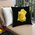 thumbnail image 1 of Ahgly Company Color Focus Black Outdoor Throw Pillow, 18 inch by 18 inch, 1 of 6