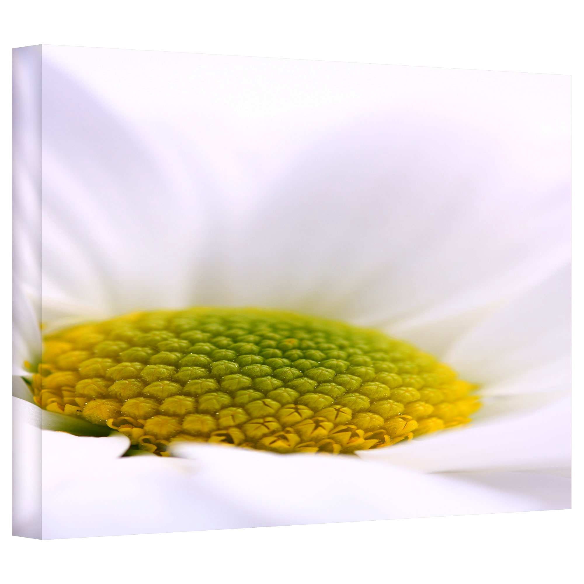 ArtWall Dragos Dumitrascu "The Whisper" Gallery-wrapped Canvas Art