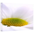 thumbnail image 2 of ArtWall Dragos Dumitrascu "The Whisper" Gallery-wrapped Canvas Art, 2 of 2