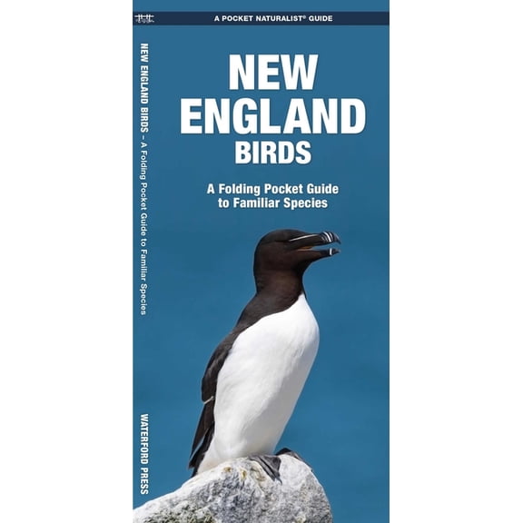 New England Birds: A Folding Pocket Guide to Familiar Species