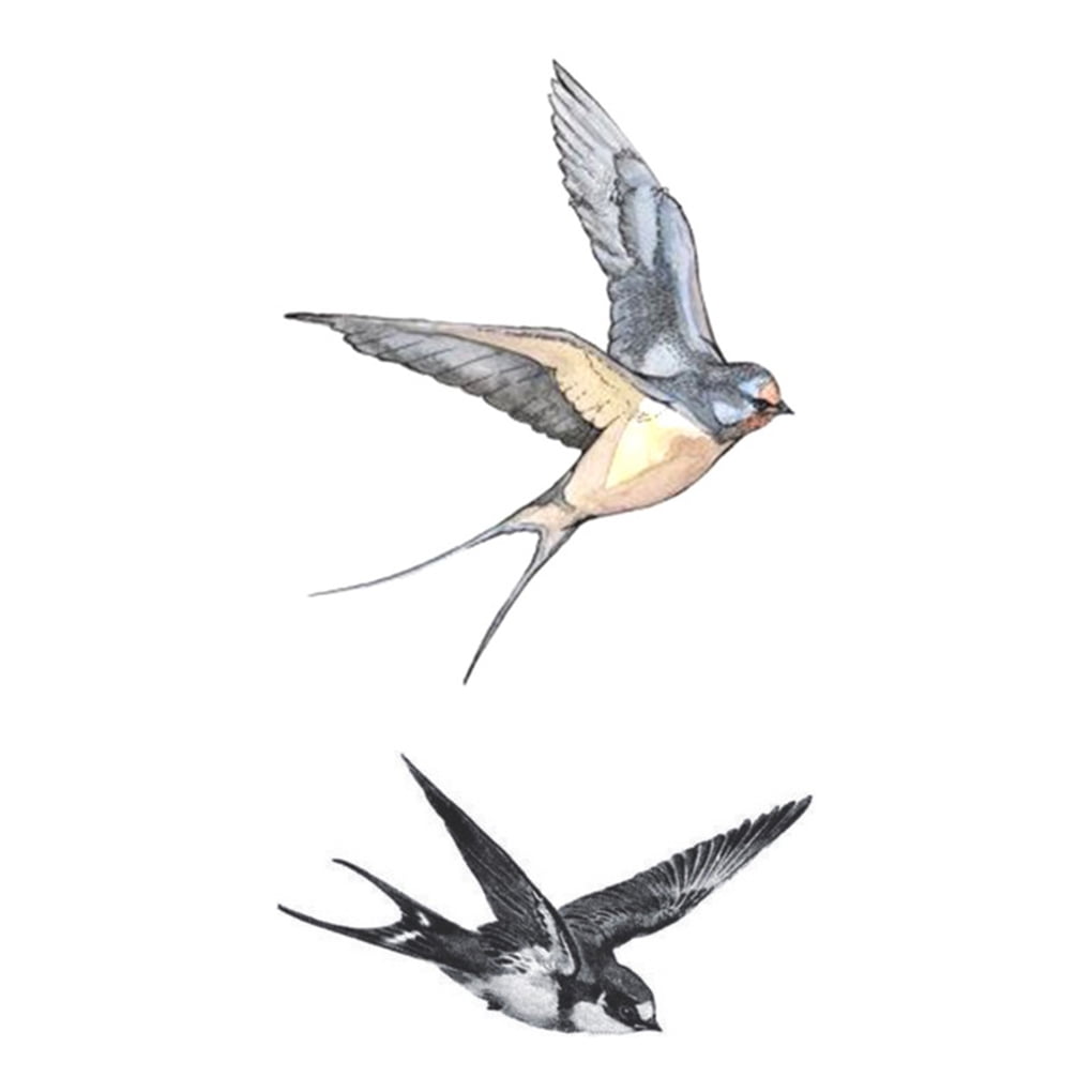 Fly Swallows Birds Design Art Tattoo Girl Men Women Arm Leg Wrist Foot Hand Temporary Sticker Workhe | Walmart Canada Fly Swallows Birds Design Art Tattoo Girl Men Women Arm Leg Wrist Foot Hand Temporary Sticker Workhe | Walmart Canada