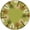 Green, variant on Carpets for Kids 33750 6 ft. Kidsoft Tranquil Trees, Green - Round
