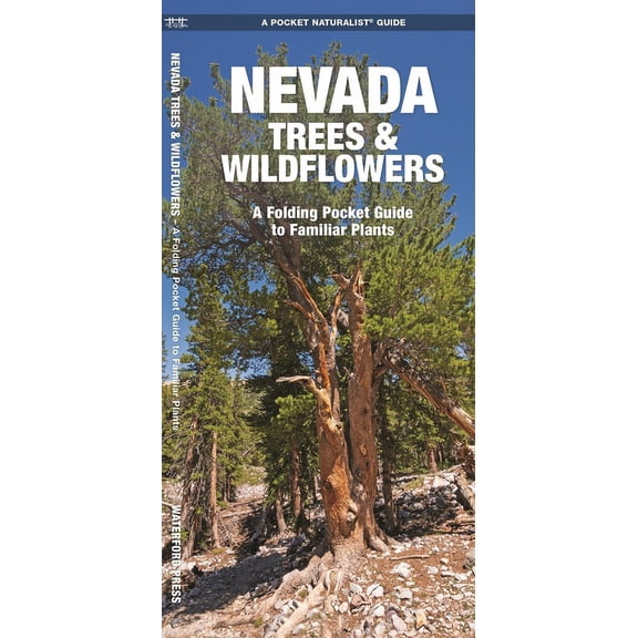 Wildlife and Nature Identification: Nevada Trees & Wildflowers : A Folding Pocket Guide to Familiar Plants (Other)
