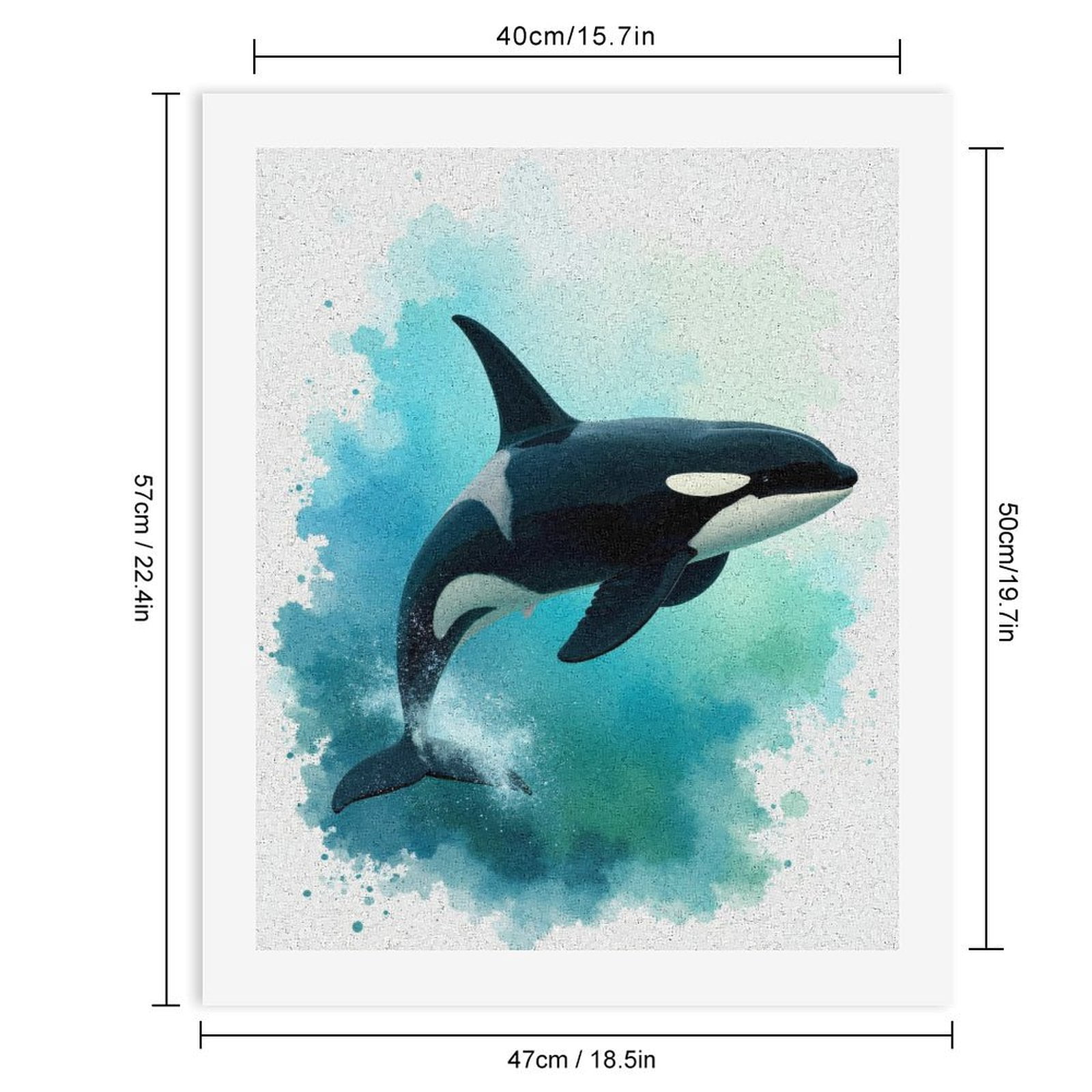 Paint By Numbers Kit for Adults Beginner - DIY Orca Ocean Wildlife Art Painting Canvas Painting Kits for Adults, Frameless Paint By Number for Adults for Home Wall Decor 16x20 Inch