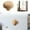 B, variant on TIELUTT Your Cabinets with Stone Pebble Shaped Drawer Pulls – Durable and Easy To Install! Brass Bunny Head Stick on Brass Plaque Max Fan Control Board Hangar Door Hardware Closet Hook