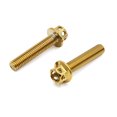 thumbnail image 3 of Unique Bargains 6pcs Gold Tone M6 x 30mm Motorcycle Titanium Alloy Hexagon Bolts Clips Screws, 3 of 3