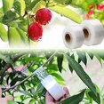 thumbnail image 5 of Hongchun Garden fruit tree grafting shears fruit trees grafting cutting tool, 5 of 5