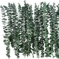 thumbnail image 6 of Trianu 20Pcs Dried Eucalyptus Bundle 17'' Real Eucalyptus Stems - 100% Natural Fresh Eucalyptus Leaves Greenery Stems for Shower Home Decor Flower Arrangement and Wedding, 6 of 9