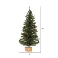 thumbnail image 4 of Vickerman 18" Carmel Pine Artificial Christmas Tree Unlit -C803918, 4 of 4