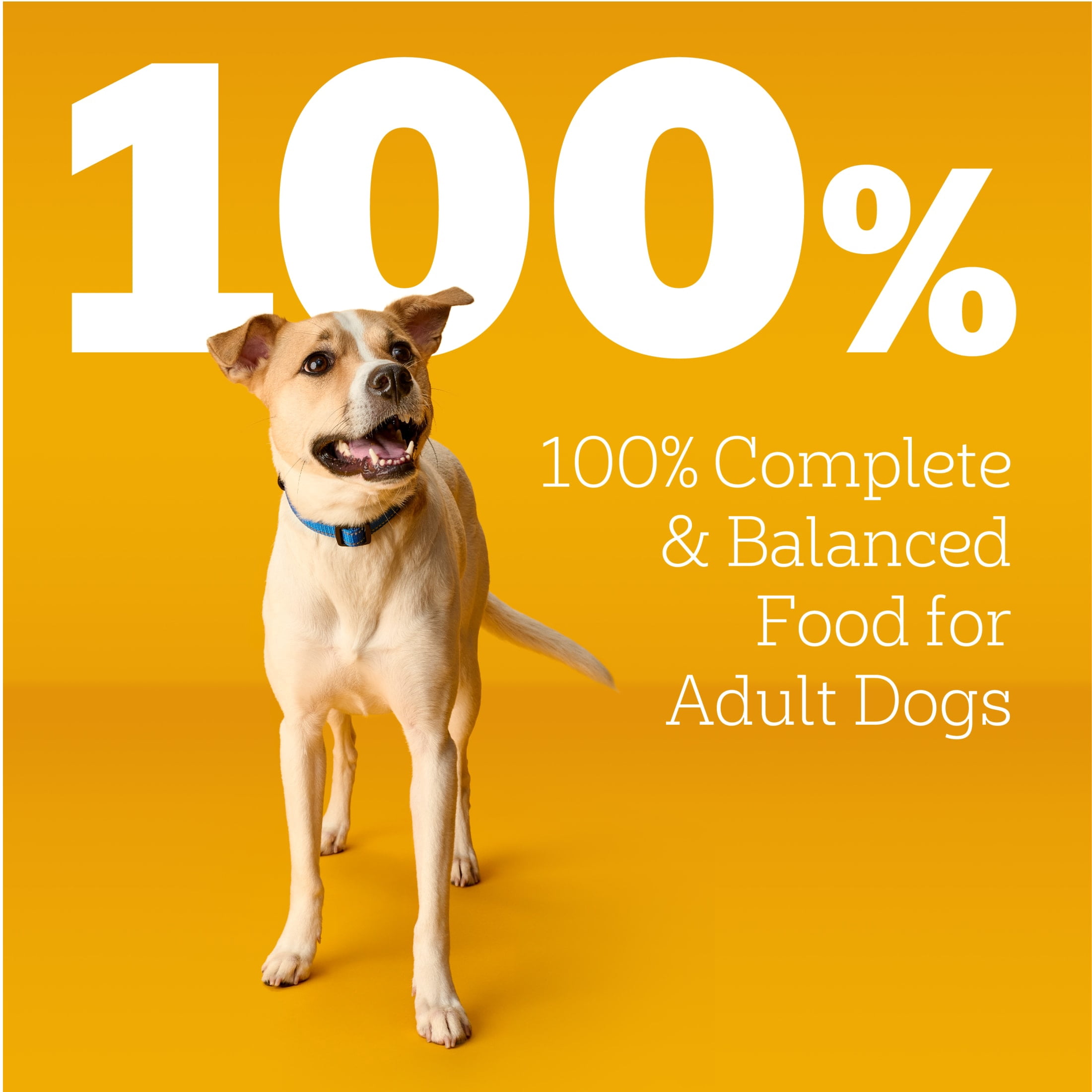 Pedigree High Protein Adult Soft Wet Dog Food Variety Pack, (30) 3.5 Oz Pouches