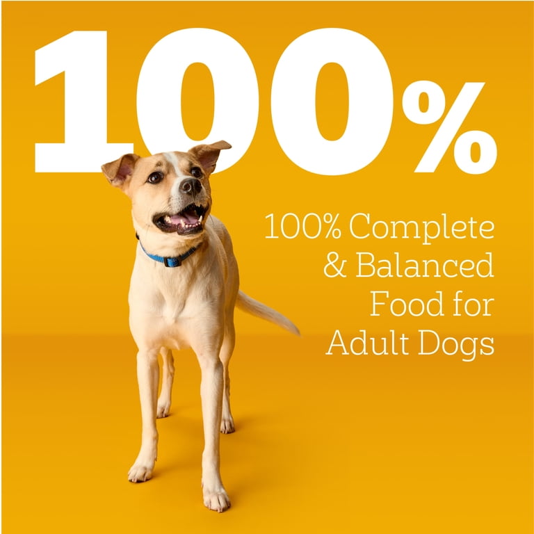 Pedigree High Protein Adult Wet Dog Food Variety Pack, 30 Pouches photo 5