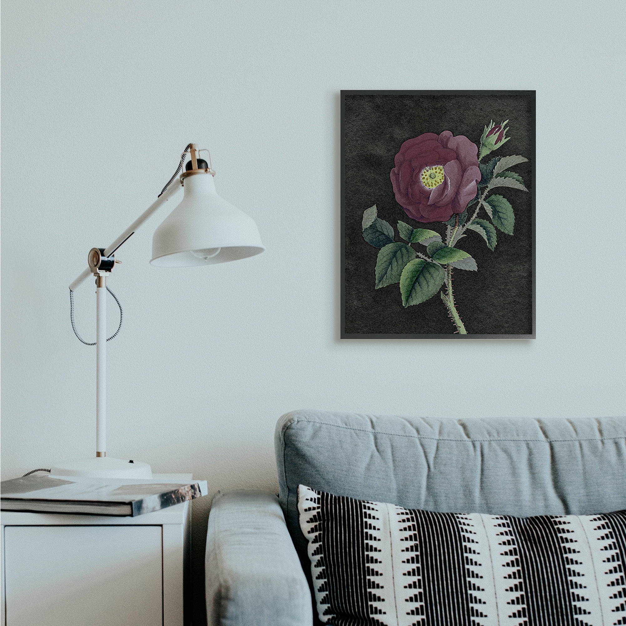 Stupell Industries Purple Poppy Vintage Illustration Thorne Flower Black Framed by Daphne Polselli