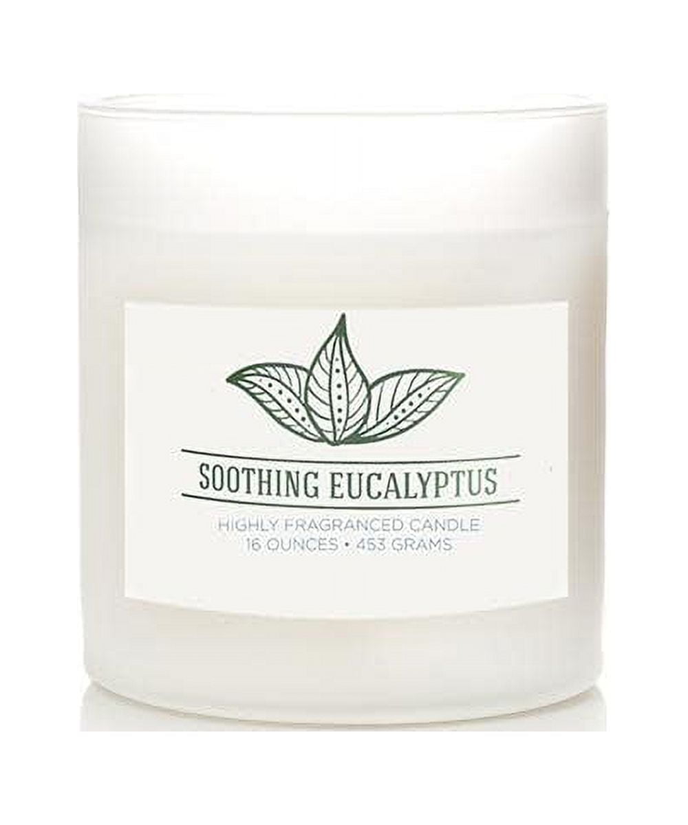 Colonial Candle Wellness Soothing Eucalyptus Candle, 2 Wick, 16 oz, 60 Hours Burn, Woody & Earthy