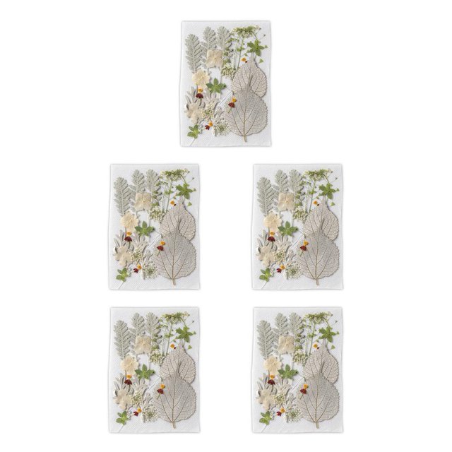 Wosthever Artesanías de flores secas naturales, decoraciones florales prensadas, plantas de flores en relieve hermosas para postales, álbumes