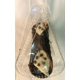 thumbnail image 2 of Italian Chocolate Cannoli Pastry, Rich Chocolate Chips Topping, Cream Filling, Crunchy Shells, 5 Pieces Per Pack, 2 of 5