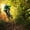 Forest Mountain Bicycle, variant on Elephant Stock Mountain Jump Wall Art - Horizontal Multi Panel Canvas - Living Room Wall Decor - Sports Multi Panel - Teal And Blue Decor - 36" x 22"
