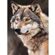 thumbnail image 1 of NH4121 Resina Diamante Serie Animal Diamante 30*40CM, 1 of 9