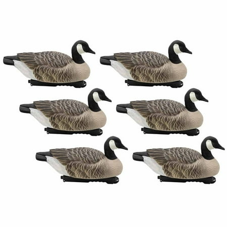 Final Approach Last Pass Canada Goose Floaters Decoy 6 Pack