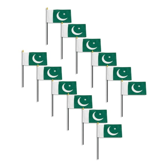 Pakistan flag 4 x 6 inch - 12 PK