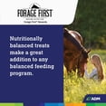 thumbnail image 7 of ADM Forage First Horse Rewards 3 Lb. Apple Horse Treat 80876AAAB2, 7 of 7
