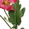 thumbnail image 6 of Northlight Cosmos Artificial Floral Sprays - 31" - Hot Pink - Set of 6, 6 of 7