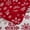 Snowflakes, variant on Greenland Home Fashions Novelty Holiday Snowflakes Reversible Coverlet Set, 2-Piece Twin
