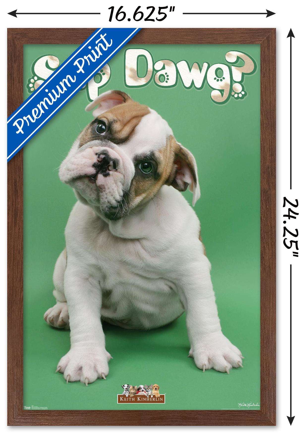 Keith Kimberlin - Sup Dawg Wall Poster, 14.725" x 22.375", Framed