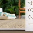 thumbnail image 4 of Safavieh Napa Faux Sisal Alyssa Geometric Area Rug, Natural/Ivory, 3' x 5', 4 of 13