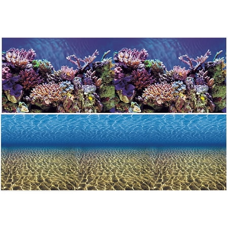 Download 57+ Background Ocean Aquarium Terbaik