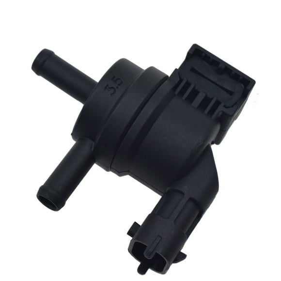 Hyundai Accent Purge Valve