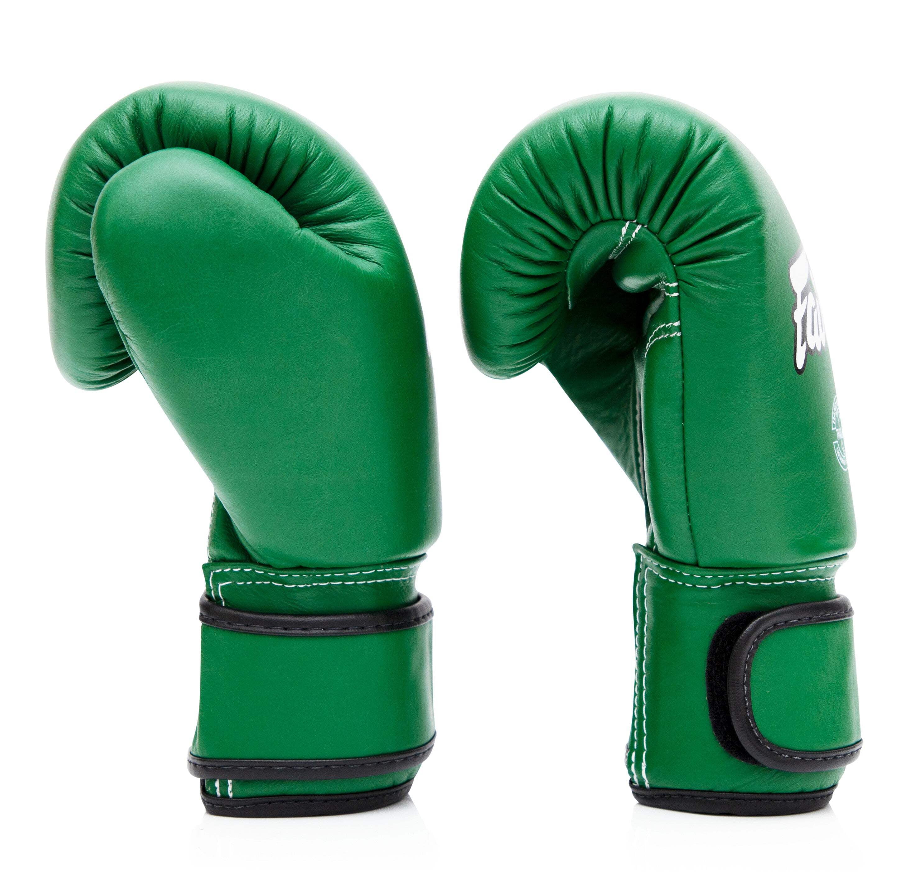 Fairtex BGV16 Leather Muay Thai Boxing Gloves