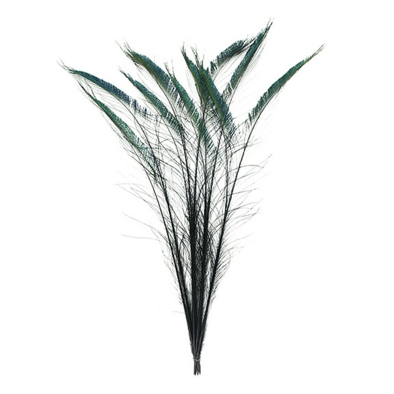 Zucker Feather Products Peacock Swords Stem Dyed Feathers - 25-40" - 10pcs - Black